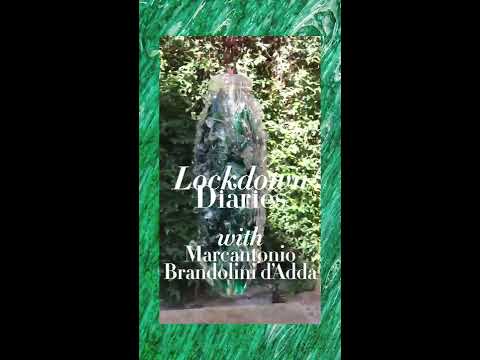 Lockdown Diaries: Marcantonio Brandolini D'Adda