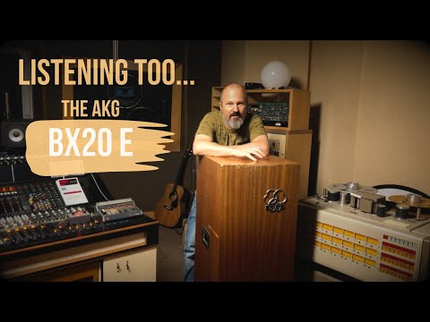 AKG BX20E vintage analog spring reverb