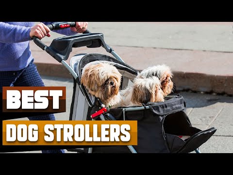 Best Dog Stroller In 2021 - Top 10 Dog Strollers Review