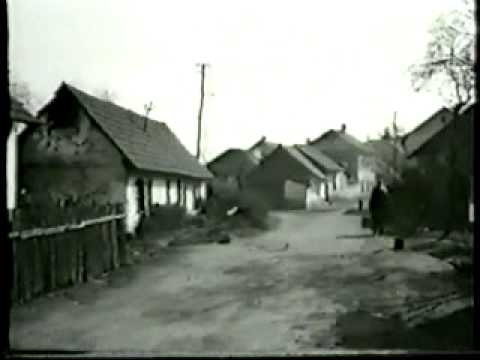 Igor Mrkela - Trosim godine