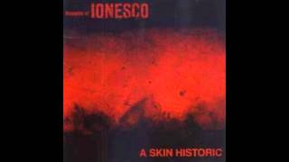 Thoughts of Ionesco History and Skin (Meditative)