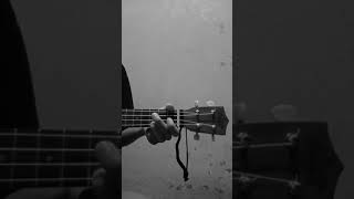 Download lagu Story Wa Ukulele 30 Detik mp3