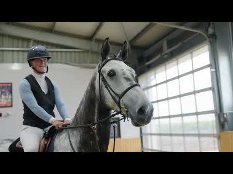 elamo i am legend trot up