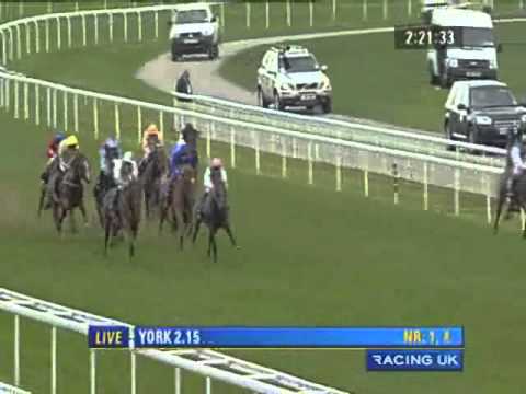 York Ebor Festival 2010 - Sky Bet Strensall Stakes