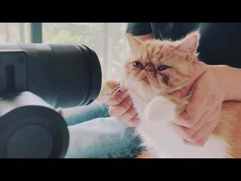 Ulefone Armor 9 - Under Preparation!