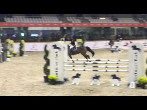 2008 mare By landjonker x nordyk 140 GP