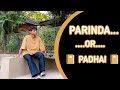 Panther - Parinda ft. Priyanka Meher (Official Audio) RB ARJUN #song #dance