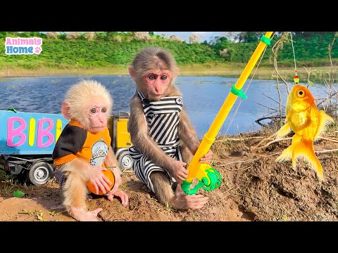 Фото BiBi helps dad go fishing with baby monkey Obi