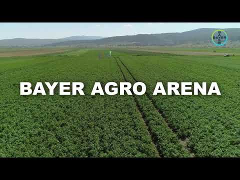 Invitație Bayer Agro Arena -  jud. Covasna - cultura cartofului