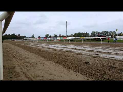 Galopp race på Jägersro