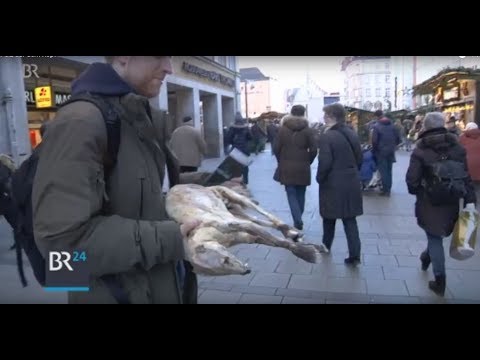 Real fur despite acrylic label | BR24