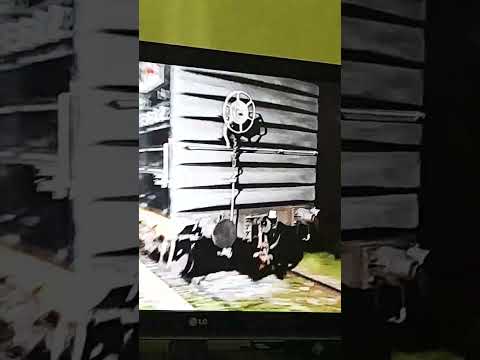 Pasada Del Tren Cargado De Nca Por Estación Forres(Provincia De Santiago Del Estero) ESPECIAL