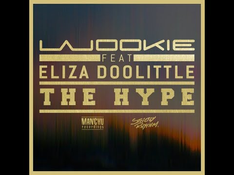 Wookie feat  Eliza Doolittle - The Hype