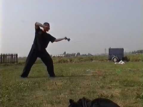 Ninja Hidden Dagger Form 黒竜忍術 Kuroi Ryu Ninjutsu by sensei Arie van den Akker