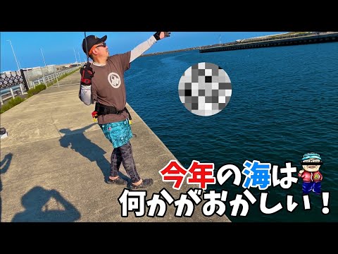 【宮城釣り】色んな魚種が釣れてますよー！しかも80センチのあの魚まで！！【爆釣】