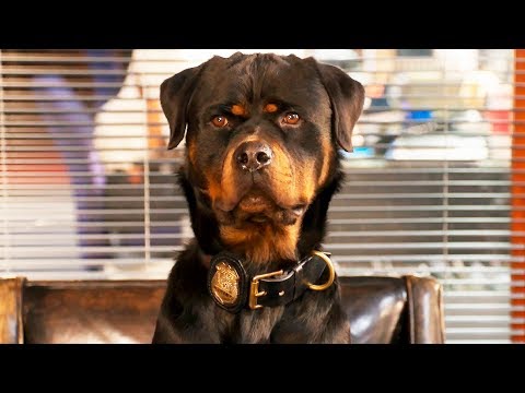 Трейлер