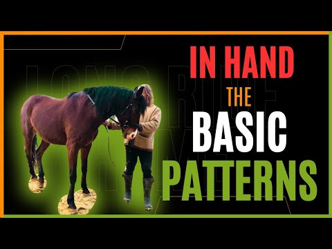 Dressage Is Only 2 Easy Patterns!