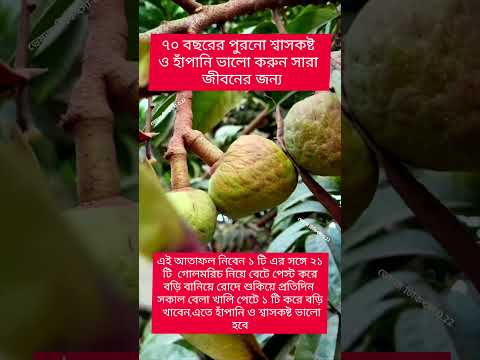 আতা ফল #shorts #shortvideo #shortsvideo #trending #trendingshorts #viralshort #viralvideo #viral