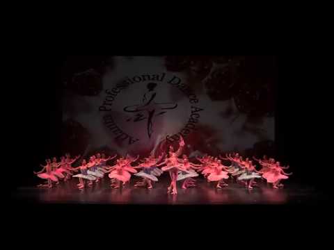 APDA 2018 Spring Dance Festival Grand Opening