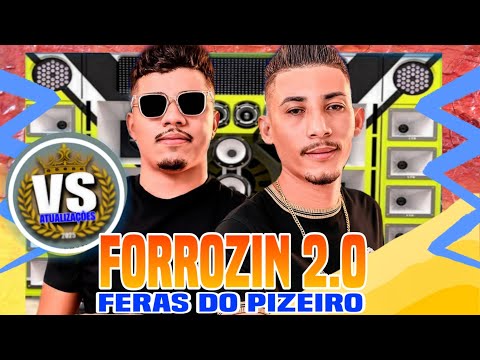 PISEIRO FORROZIN 2.0 PRA PAREDÃO 2025 - OS FERAS DO PIZEIRO 2025 -SELEÇÃO FIM DE ANO COM GRAVES 2025
