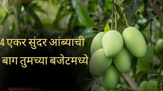 बघताच क्षणी  पसंत पडेल अशी बाग..#investment #kokanproperty