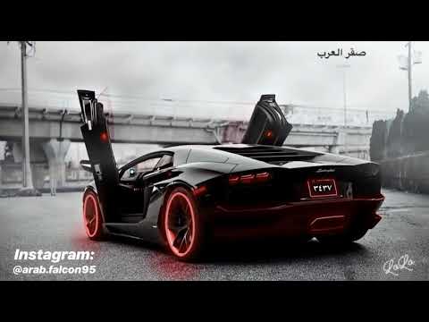 Arab Falcon LuLu - صقر العرب لولو