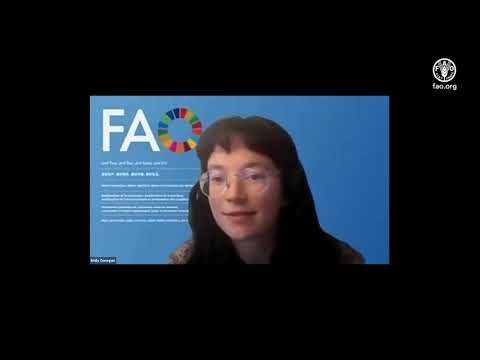 From Measurement, Reporting and Verification to the Reinforced Transparency Framework