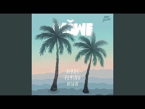 Video thumbnail for Birds Flying High (Radio Edit)