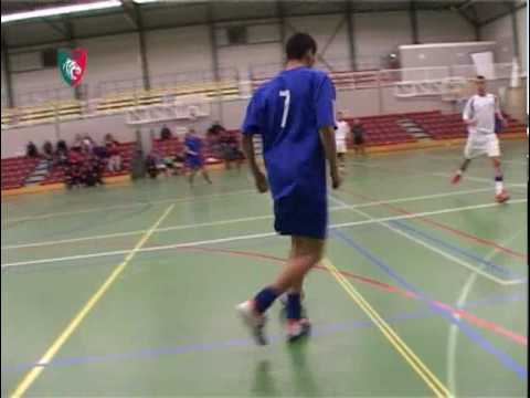 Tigers Roermond 2010 samenvatting 8