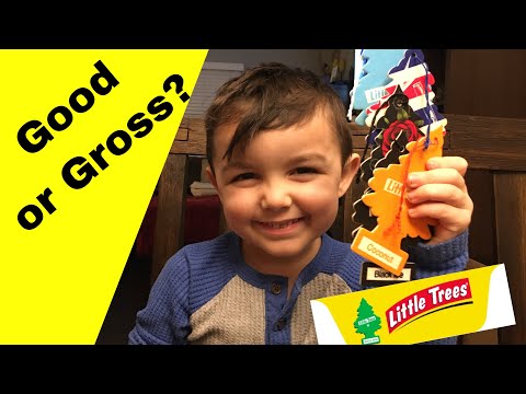 Good or Gross?: I bought all the Little Trees at Target!