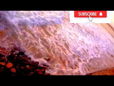 sea beach | Video | beach | youtube | universal