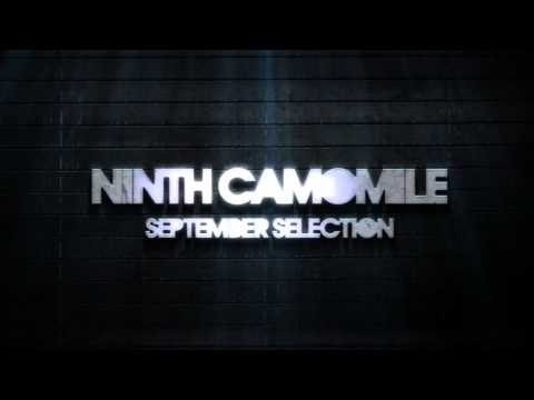Ninth Camomile - September Selection