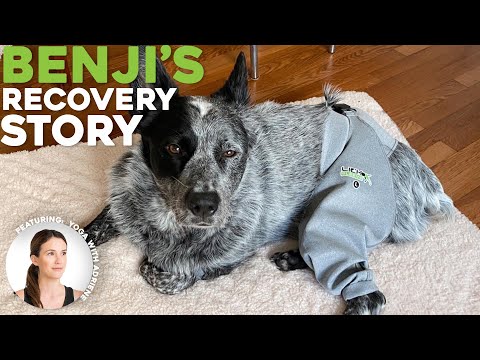 Benji's Lick Sleeve Story from Yoga With Adriene