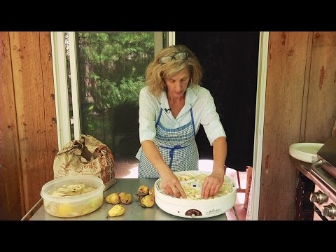 Path to Food Preservation: Householding