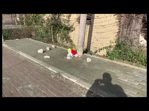 MAKINA PERPLASI 2 KEMBESORET, NDERRON JETE NJERA PREJ TYRE, NE PRANGA SHOFERI