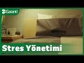 Yastıklar Yastıkaltını Konuşursa