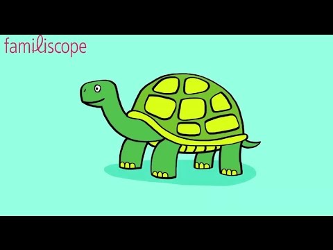 comment colorier une tortue