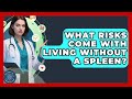 What Risks Come With Living Without A Spleen? - All About the Immune System