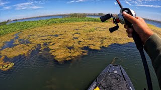 Summer to Fall transition on the California Delta (Best day of 2025)