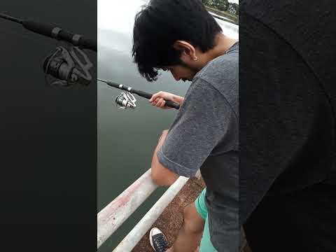 mártires posadas misiones