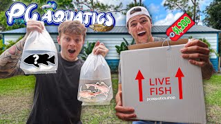 SURPRISING My Friend with EXPENSIVE FISH from My STORE!!
