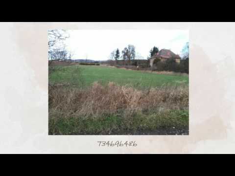 Prodej Pozemek 9171 m2 Meziměstí 720p