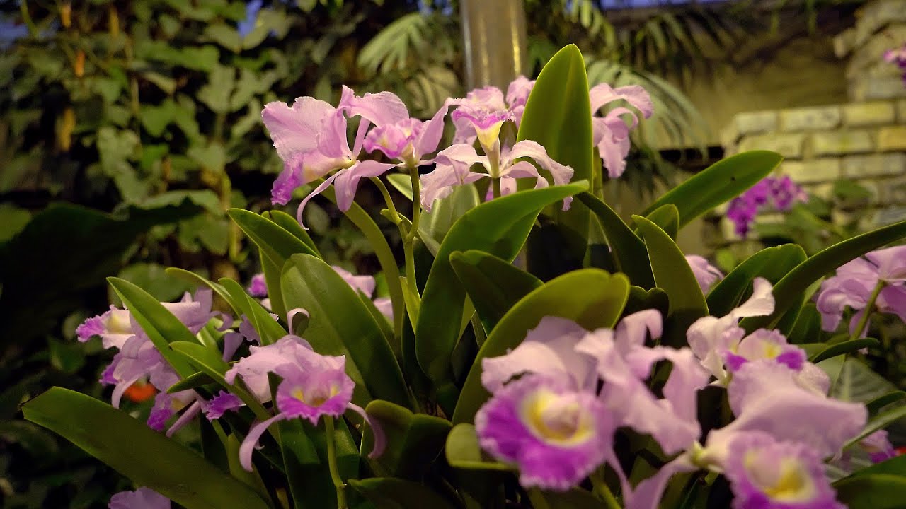 Архив_Объектив Sony FE Tessar T* 24-70mm f/4 ZA OSS