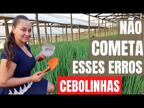 , title : '4 Erros que todo mundo comete ao Plantar Cebolinha!'