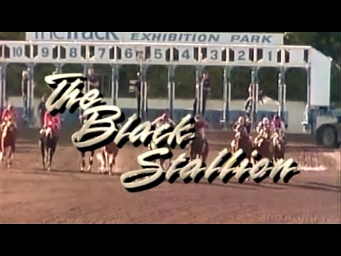 Classic TV Theme: Adventures of the Black Stallion