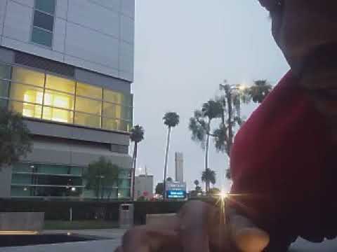 Indigenous Hebrew Israelite Awakening  -- Word War III: Song of Solomon 4:14 Bible Cures and Drugs