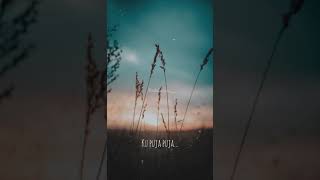 Download lagu Ku Puja Puja - Story' WA mp3