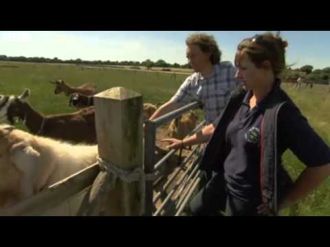 One Man and His Campervan - New Forest part 2