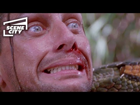 Anaconda: First Snake Encounter (4K HD Clip)