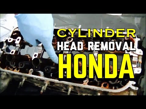 Honda Accord Cylinder Head Removal/Head Gasket Repair -  2.0L 2.2L 2.3L 90 - 02 Prelude 97 Acura CL